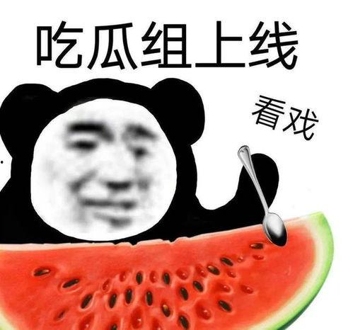 吃瓜曝光黑料,吃瓜曝光，黑料背后的真相揭晓